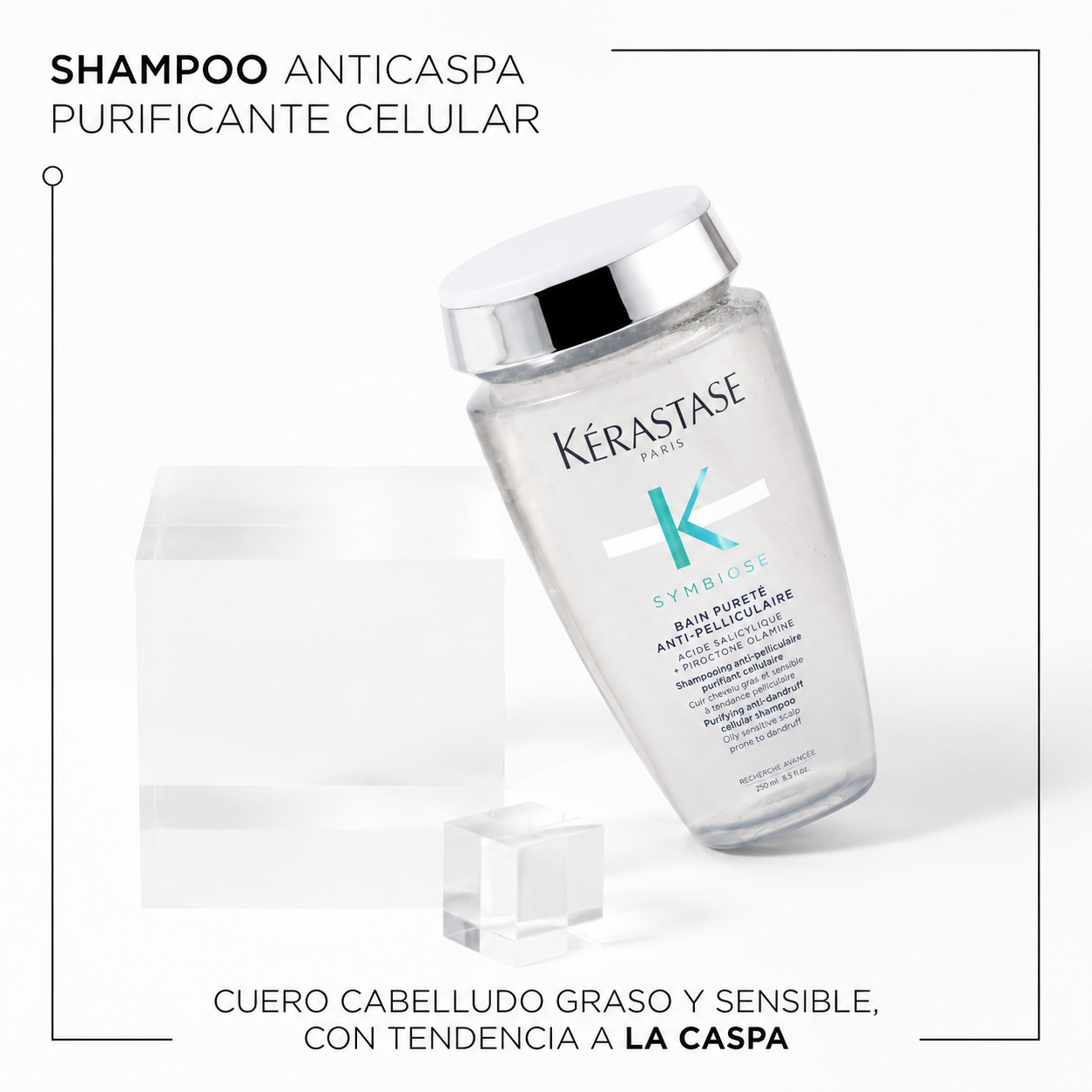 Symbiose Bain Pureté Anti-Pelliculaire